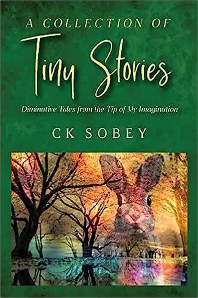 Produktbild: A Collection of Tiny Stories