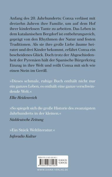 Produktbild: Wie ein Stein im Ger&ouml;ll