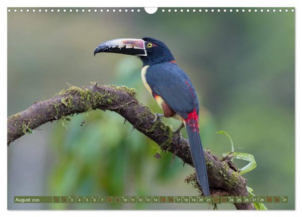 Produktbild: Farbenfrohes Costa Rica (Wandkalender 2026 DIN A3 quer), CALVENDO Monatskalender
