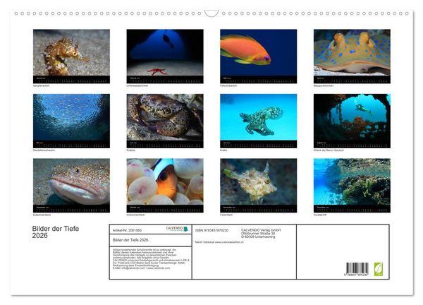 Produktbild: Bilder der Tiefe 2026 (Wandkalender 2026 DIN A2 quer), CALVENDO Monatskalender