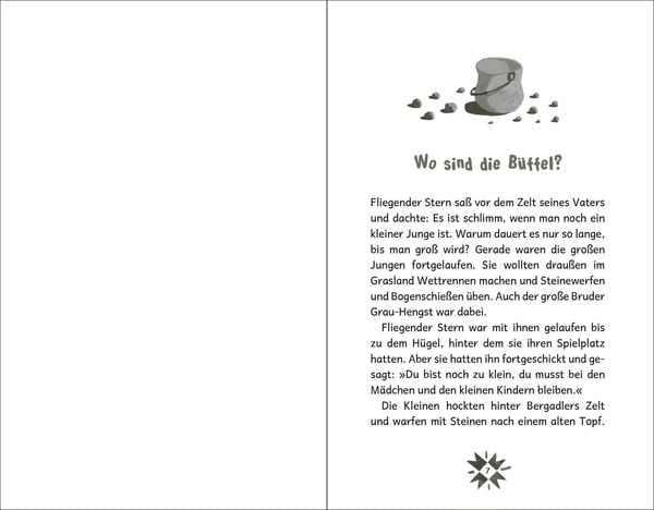 Produktbild: Fliegender Stern