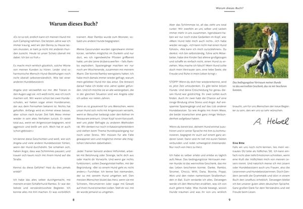 Produktbild: Herz über Kopf