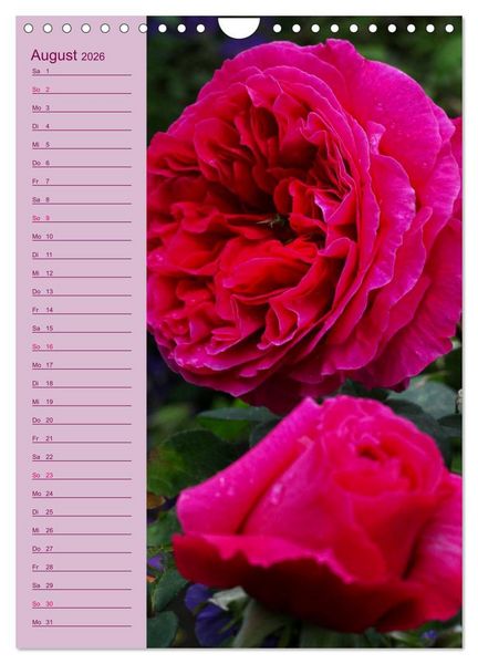 Produktbild: Rosen Symphonie (Wandkalender 2026 DIN A4 hoch), CALVENDO Monatskalender