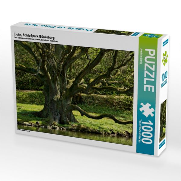 Produktbild: CALVENDO Puzzle Eiche, Schlo&szlig;park B&uuml;ckeburg | 1000 Teile Lege-Gr&ouml;&szlig;e 64x48cm Foto-Puzzle f&uuml;r gl&uuml;ckliche Stunden