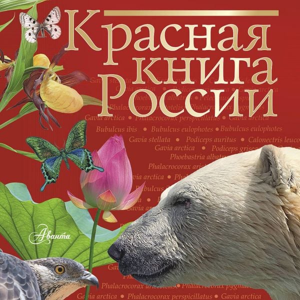 Produktbild: Krasnaya kniga Rossii