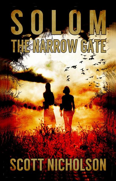 Produktbild: The Narrow Gate (Solom, #2)