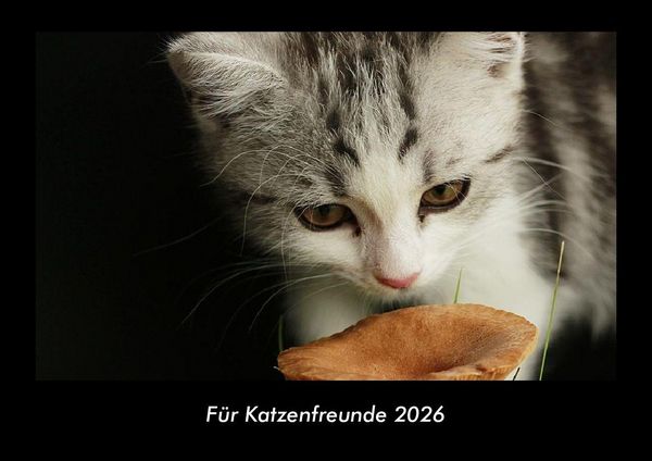 Produktbild: F&uuml;r Katzenfreunde 2026 Fotokalender DIN A3