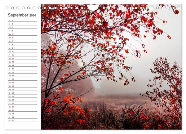 Produktbild: Worpswede - Natursch&ouml;nheiten im Teufelsmoor (Wandkalender 2026 DIN A4 quer), CALVENDO Monatskalender
