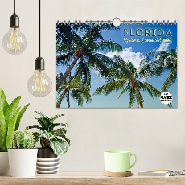 Produktbild: FLORIDA Idyllischer Sonnenscheinstaat (Wandkalender 2026 DIN A4 quer), CALVENDO Monatskalender