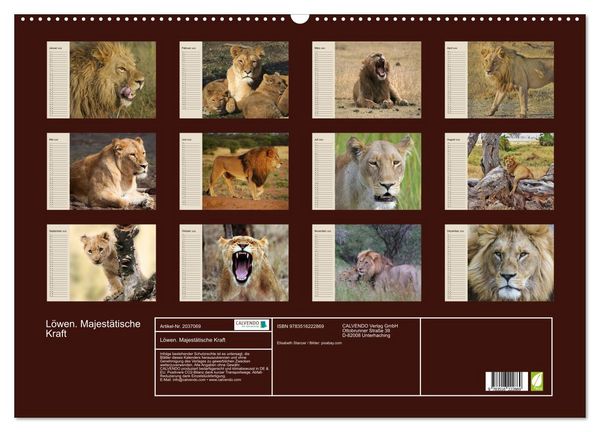 Produktbild: L&ouml;wen. Majest&auml;tische Kraft (Wandkalender 2026 DIN A2 quer), CALVENDO Monatskalender