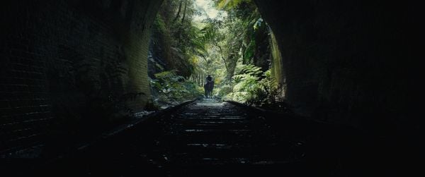 Produktbild: Planet der Affen - New Kingdom (4K Ultra HD) (+ Blu-ray)