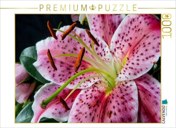 Produktbild: CALVENDO Puzzle Kalanchoe | 1000 Teile Lege-Gr&ouml;&szlig;e 64x48cm Foto-Puzzle f&uuml;r gl&uuml;ckliche Stunden