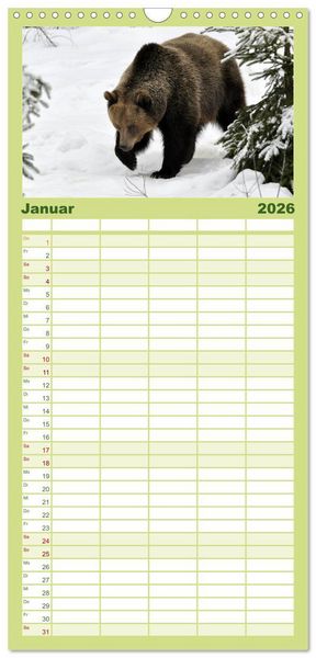Produktbild: Familienplaner 2026 - Begegnungen DER BRAUNB&Auml;R mit 5 Spalten (Wandkalender, 21 x 45 cm) CALVENDO