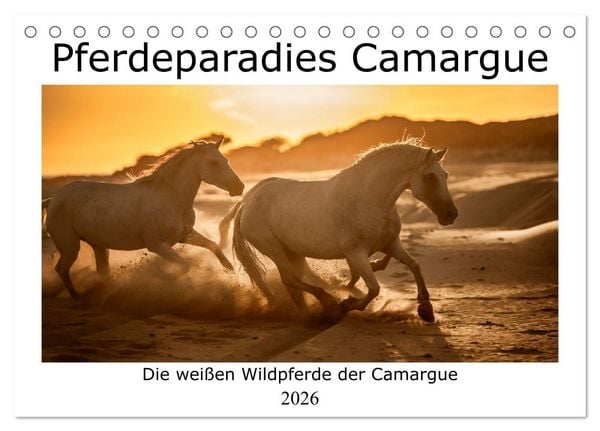 Pferdeparadies Camargue (Tischkalender 2026 DIN A5 quer), CALVENDO Monatskalender