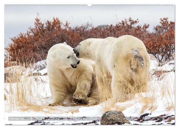 Produktbild: AN DER HUDSON BAY (hochwertiger Premium Wandkalender 2026 DIN A2 quer), Kunstdruck in Hochglanz