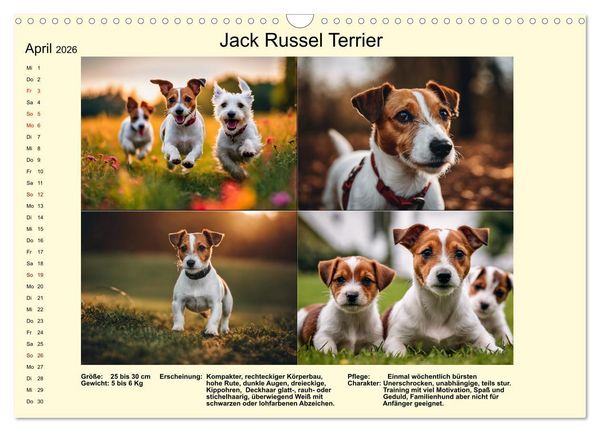 Produktbild: Terrier-Rassen im Portrait (Wandkalender 2026 DIN A3 quer), CALVENDO Monatskalender