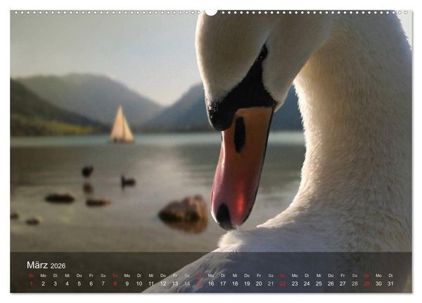 Produktbild: Nur ein Augenblick (hochwertiger Premium Wandkalender 2026 DIN A2 quer), Kunstdruck in Hochglanz