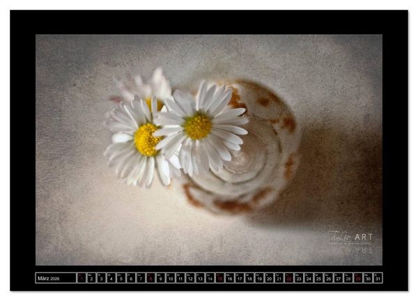 Produktbild: Stillleben (Wandkalender 2026 DIN A3 quer), CALVENDO Monatskalender