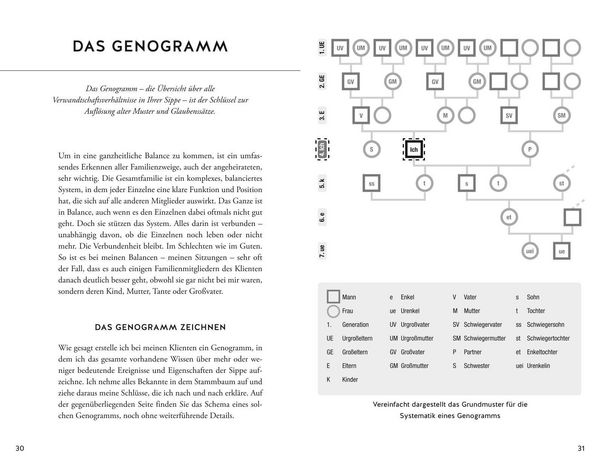Produktbild: Die verborgenen Kr&auml;fte unserer Ahnen