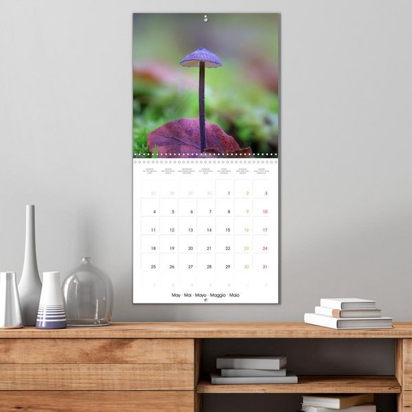 Produktbild: Les champignons - Un monde merveilleux (Calendrier mural carr&eacute; 2026 30x30 cm) Calendrier double avec une page pour vos prises de notes