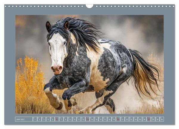 Produktbild: Mustangs. Pferde in ihrer wildesten Sch&ouml;nheit (Wandkalender 2027 DIN A3 quer), CALVENDO Monatskalender