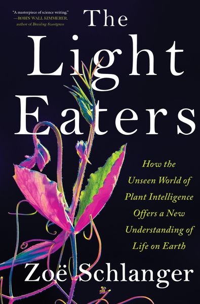 Produktbild: The Light Eaters