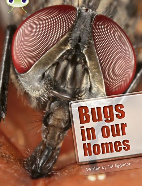 Produktbild: Bug Club Independent Non Fiction Year Two Lime A Bugs in our Homes
