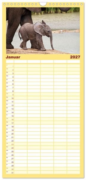 Produktbild: Familienplaner 2027 - Wildes Kinderzimmer - Tierkinder in Afrika mit 5 Spalten (Wandkalender, 21 x 45 cm) CALVENDO