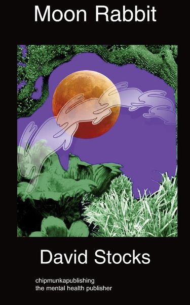 Produktbild: Moon Rabbit