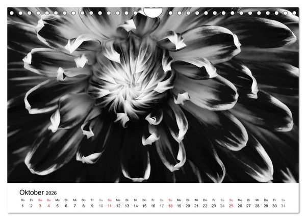 Produktbild: Blumen 2026, Schwarz-Wei&szlig; (Wandkalender 2026 DIN A4 quer), CALVENDO Monatskalender