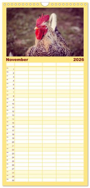 Produktbild: Familienplaner 2026 - H&uuml;hner in meinem Garten mit 5 Spalten (Wandkalender, 21 x 45 cm) CALVENDO