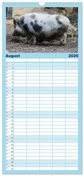 Produktbild: Familienplaner 2026 - Tierische Schweinerei mit 5 Spalten (Wandkalender, 21 x 45 cm) CALVENDO
