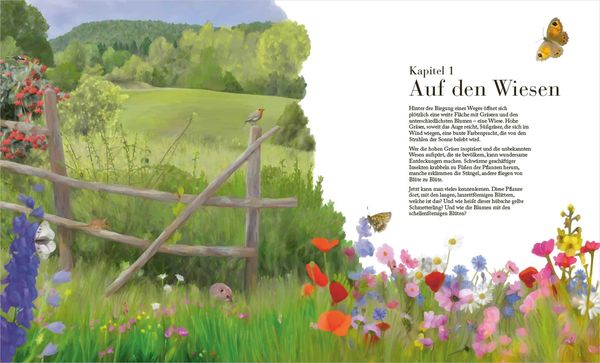 Produktbild: Der gro&szlig;e Naturf&uuml;hrer. Pflanzen, Tiere, Wolken und Sternbilder bestimmen. Nach Lebensr&auml;umen gegliedert