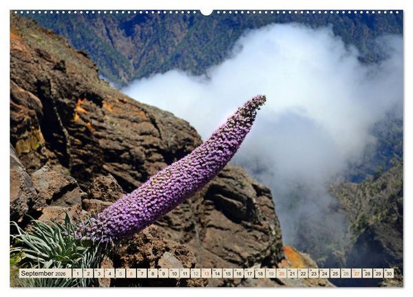 Produktbild: Magic Moments - LA PALMA (hochwertiger Premium Wandkalender 2026 DIN A2 quer), Kunstdruck in Hochglanz