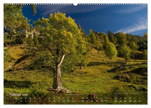 Produktbild: Gro&szlig;er Ahornboden - Europas gro&szlig;er Ahornwald (Wandkalender 2026 DIN A2 quer), CALVENDO Monatskalender