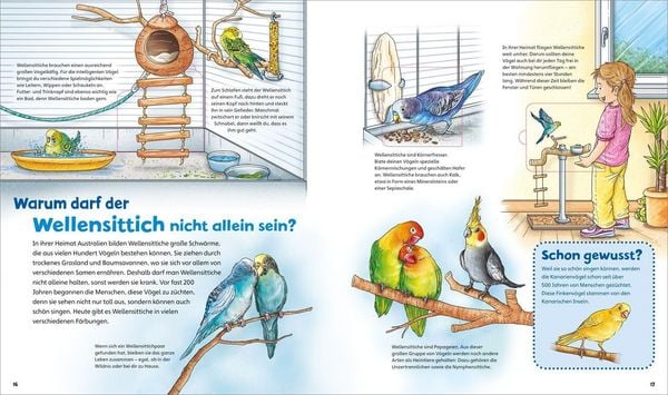 Produktbild: WAS IST WAS Junior Meine liebsten Haustiere