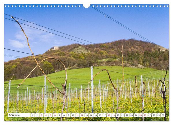 Produktbild: Weinberge um Jena (Wandkalender 2026 DIN A3 quer), CALVENDO Monatskalender