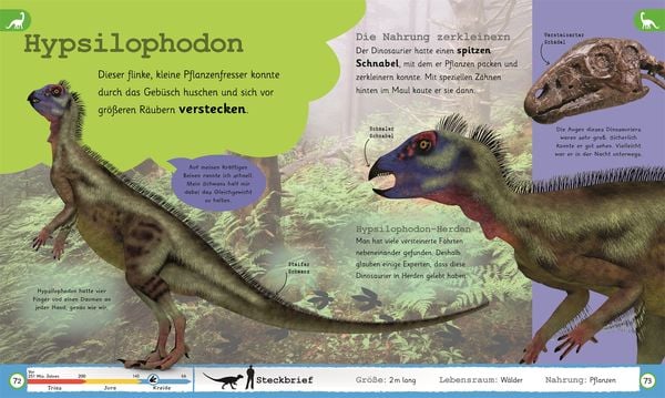 Wissen für Vorschulkids. Was weißt du über Dinos?