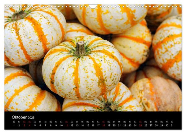 Produktbild: Jahreszeiten / 2026 (Wandkalender 2026 DIN A3 quer), CALVENDO Monatskalender