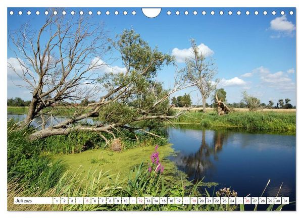 Produktbild: Vier Jahreszeiten im Land Brandenburg (Wandkalender 2026 DIN A4 quer), CALVENDO Monatskalender
