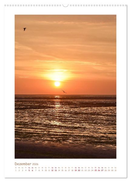 Produktbild: Texel - Momente die verzaubern (Wandkalender 2026 DIN A2 hoch), CALVENDO Monatskalender