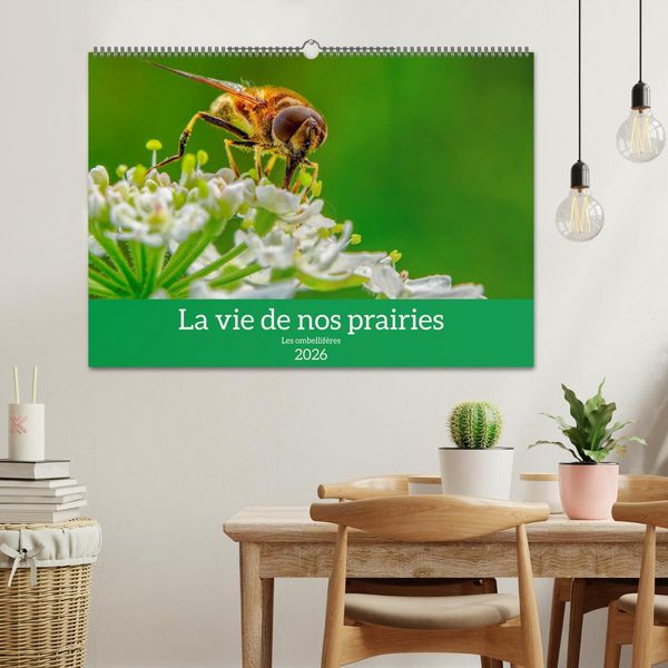 Produktbild: La vie de nos prairie, les ombellif&egrave;res (Calendrier mural 2026 DIN A2 vertical), CALVENDO calendrier mensuel