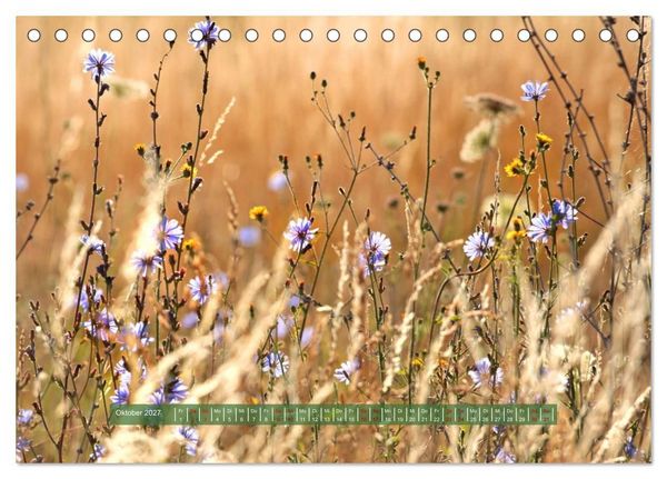 Produktbild: Feldansichten (Tischkalender 2027 DIN A5 quer), CALVENDO Monatskalender