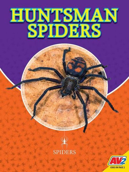 Produktbild: Huntsman Spiders