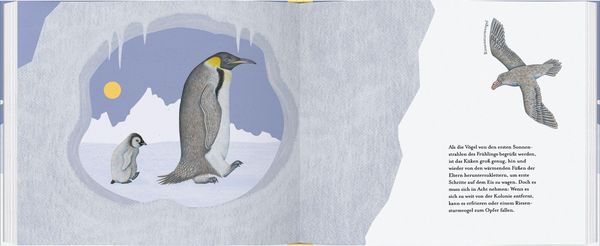 Produktbild: Kleiner Pinguin, bald bist du gro&szlig;!