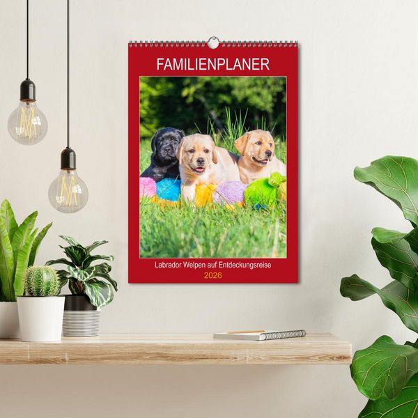 Produktbild: Familienplaner - Labrador Welpen entdecken die Welt (Wandkalender 2026 DIN A3 hoch), CALVENDO Monatskalender
