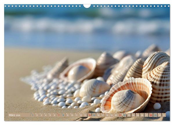 Produktbild: Faszination Muscheln (Wandkalender 2026 DIN A3 quer), CALVENDO Monatskalender