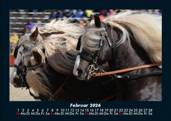 Produktbild: Die Welt der Pferde 2026 Fotokalender DIN A5