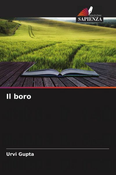 Produktbild: Il boro