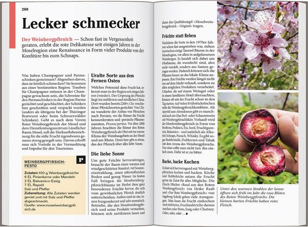 Produktbild: DUMONT Reise-Taschenbuch Reisef&uuml;hrer Mosel